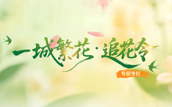一城繁華 追花令